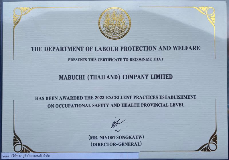 THE DEPARTMENT OF LABOUR AND WELFARE